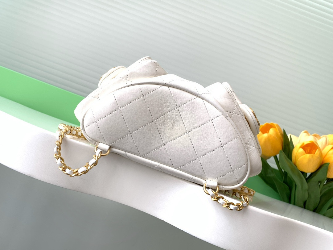 Chanel Backpack Shiny Lambskin AS5310(24*18*8cm) #2 - Image 5